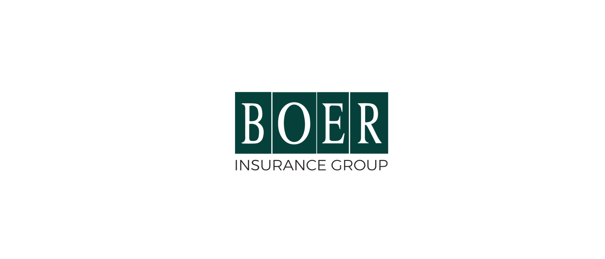 Boer Insurance Group